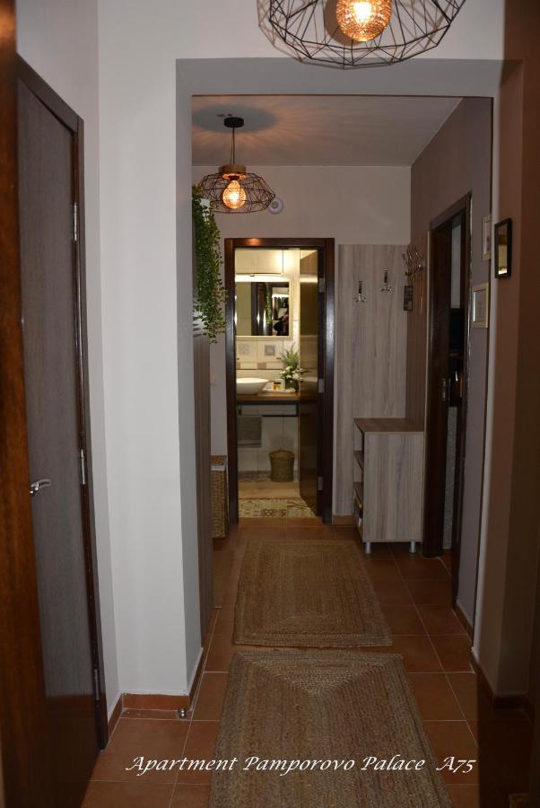Apartment Pamporovo Palaсe A75 Kültér fotó