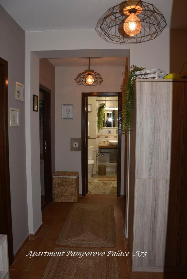 Apartment Pamporovo Palaсe A75 Kültér fotó